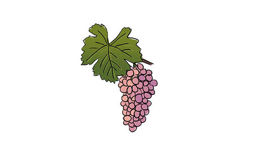 gewurtraminer grape variety amble wine