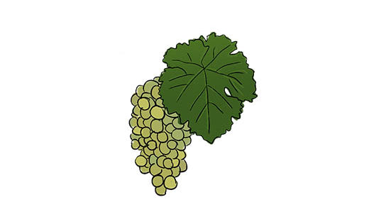 marsanne grape variety amble wine