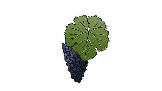 trousseau grape variety amble wine