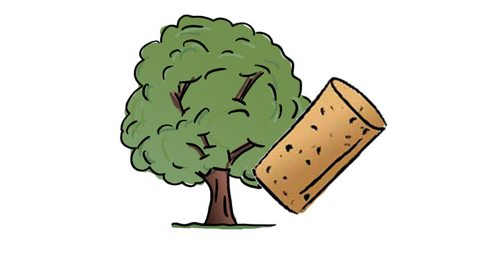 How many corks can a cork tree produce in its life?