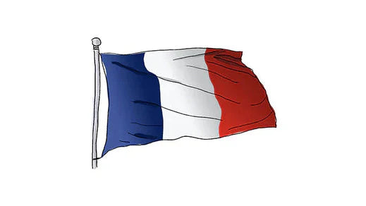 2025 vintage report in France: Bordeaux, Burgundy, Beaujolais, Loire, Rhône and Champagne