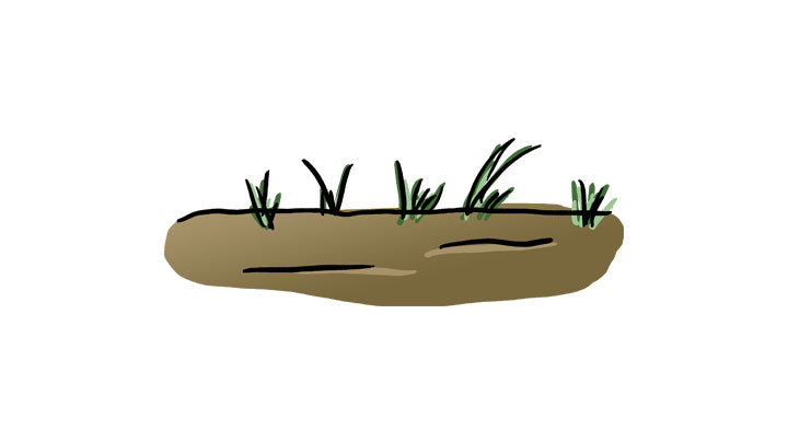 What is the optimal duration of fallow before replanting a vineyard?