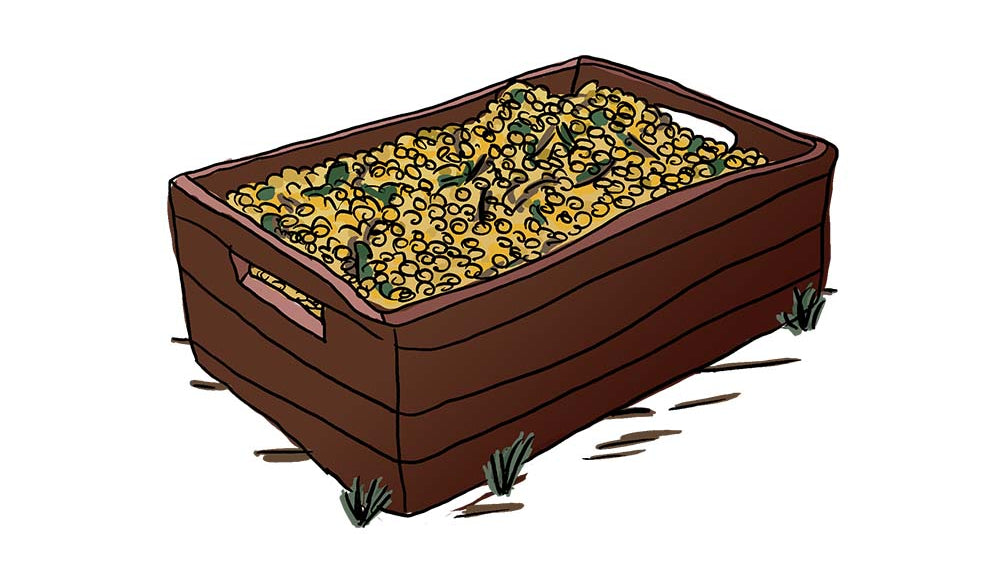 Basket press vs. pneumatic press