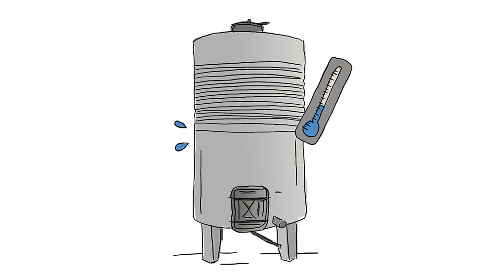 What is carbonic maceration?