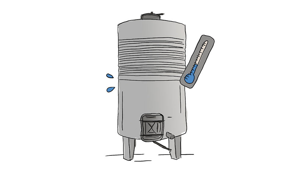 What is carbonic maceration?