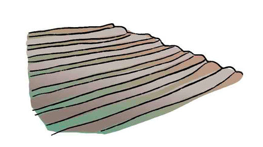 Terracing vineyards: benefits and challenges