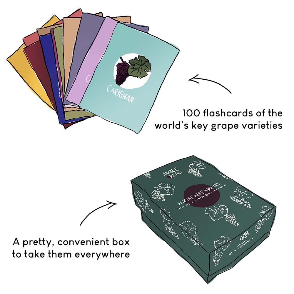 flashcards grape varieties of the world amble wine english