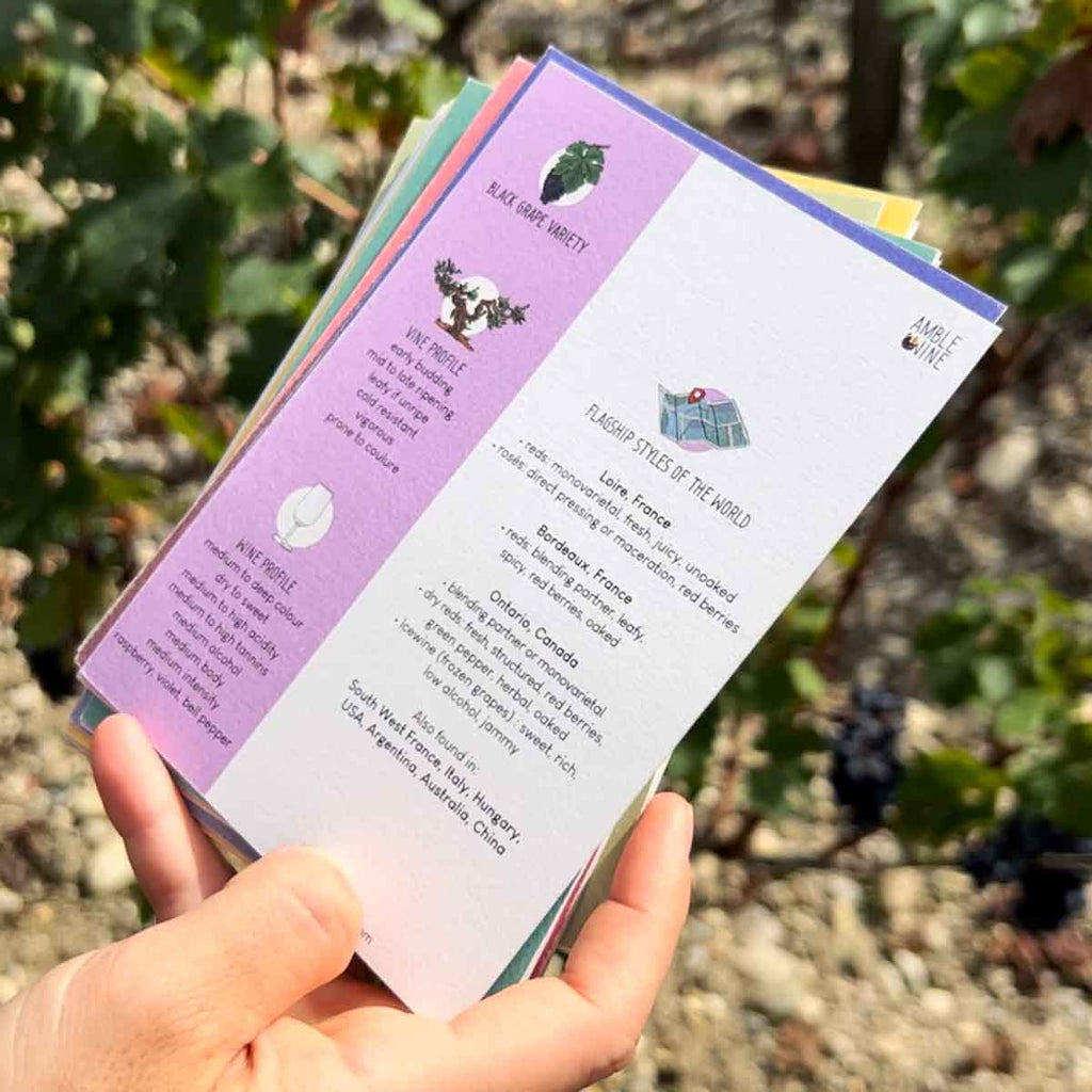 flashcards grape varieties of the world amble wine english
