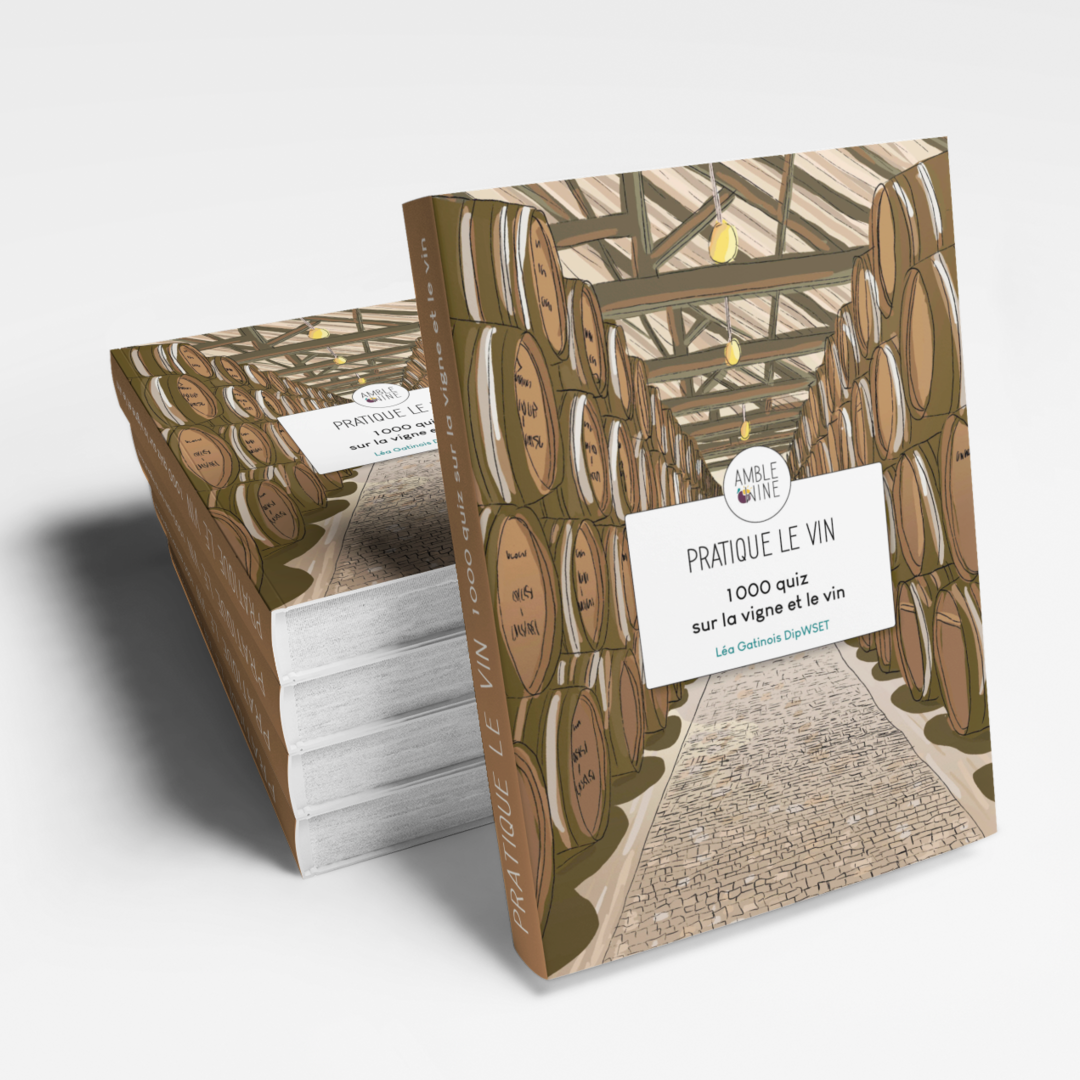 pratique le vin 1000 quiz sur la vigne et le vin amble wine