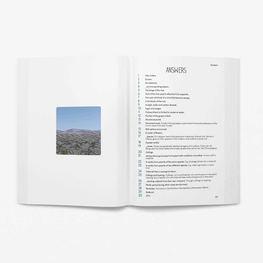 Practise wine 1000 quizzes on vine and wine Amble Wine