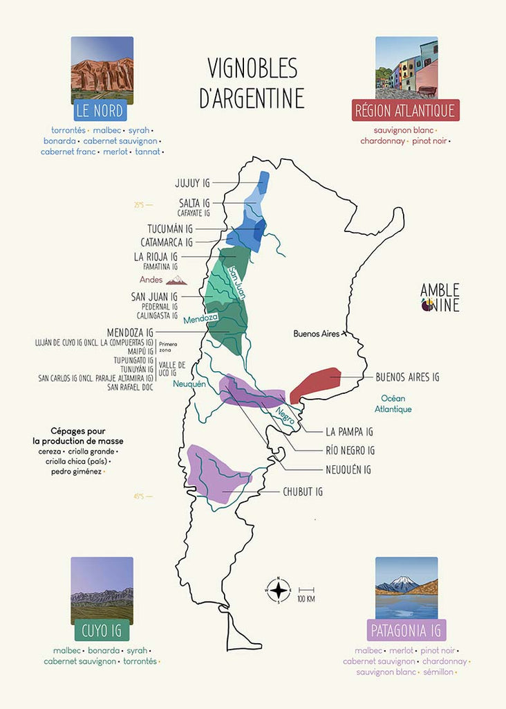 Argentine carte vignoble amble wine appellation affiche cuyo mendoza patagonia vignobles zoom