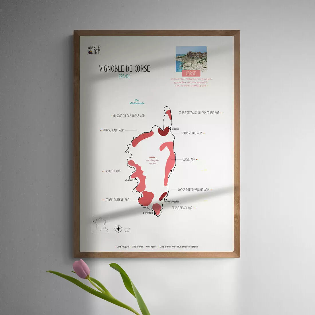 vignoble de corse muscat du cap corse carte des vins amble wine affiche
