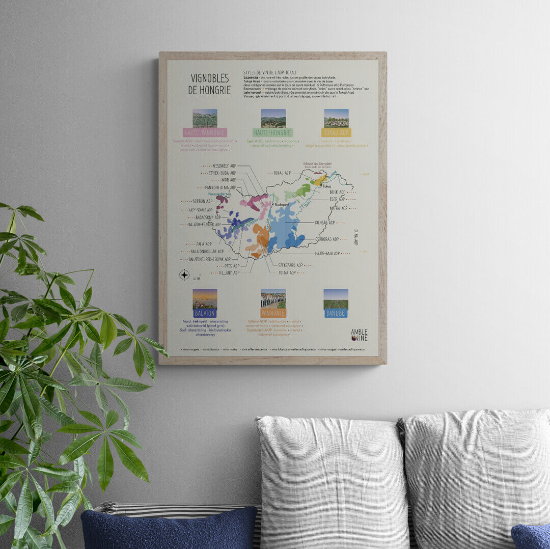 Il s'agit de la carte des vignobles de Hongrie. L'entreprise c'est Amble Wine. Affiche à mettre au mur.