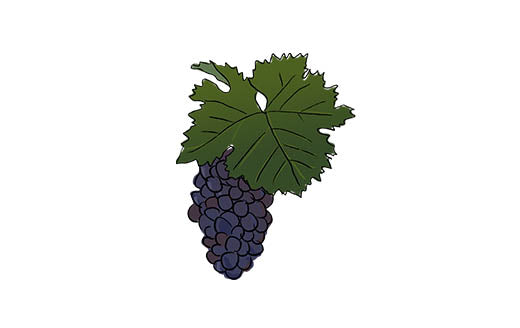 dornfelder grape variety amble wine