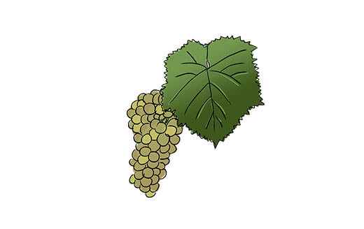 gros manseng grape variety amble wine