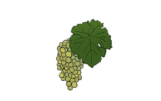 marsanne grape variety amble wine