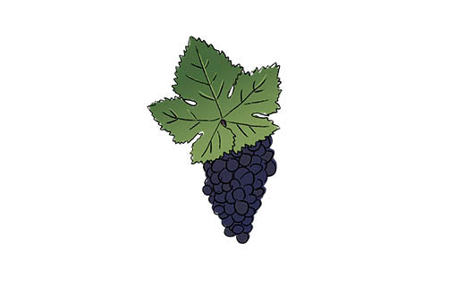 petite sirah grape variety amble wine