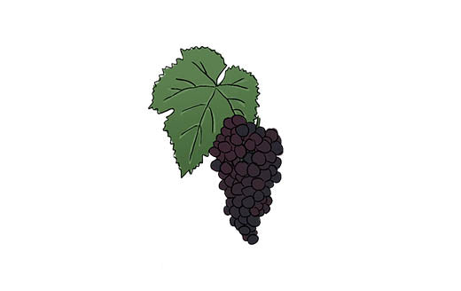 petit verdot grape variety amble wine