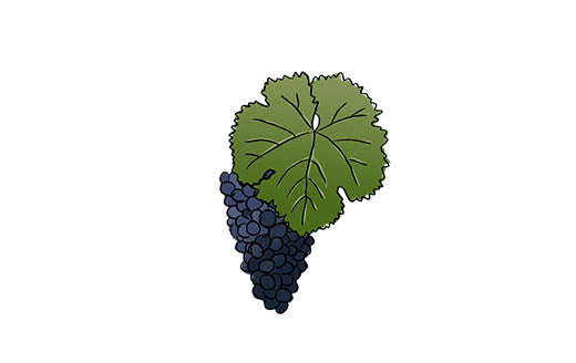 trousseau grape variety amble wine