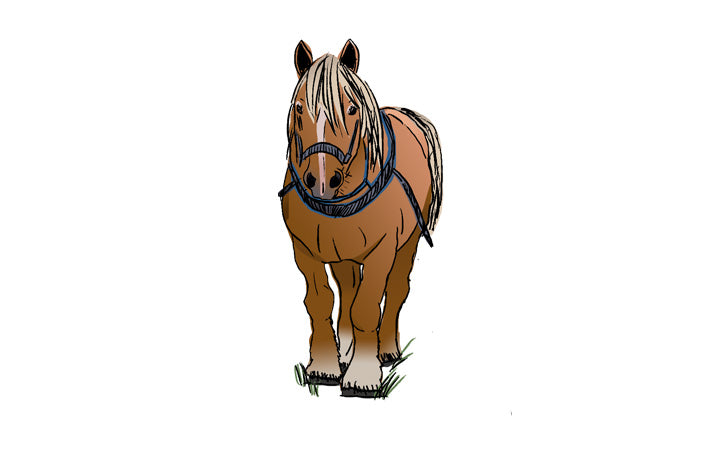 Why are some estates using horses in their vineyards?