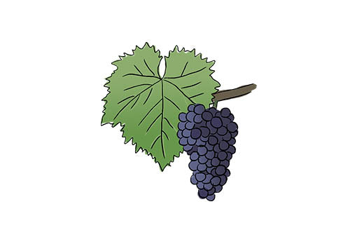 mourvèdre grape variety amble wine