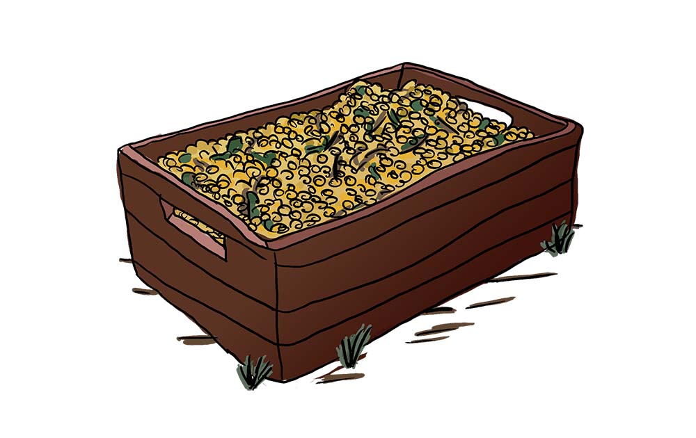 Basket press vs. pneumatic press