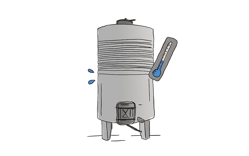 What is carbonic maceration?