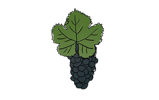 tannat grape variety amble wine