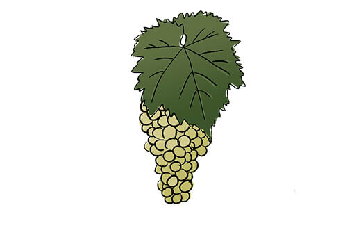 vidal grape variety amble wine