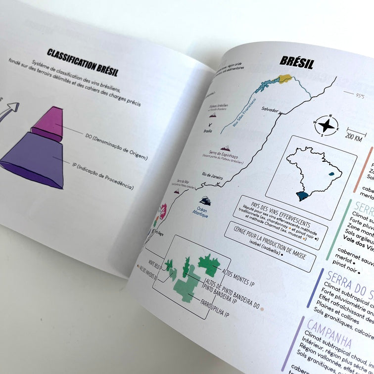 Amble Wine livres éducatifs cartes des vins brésil