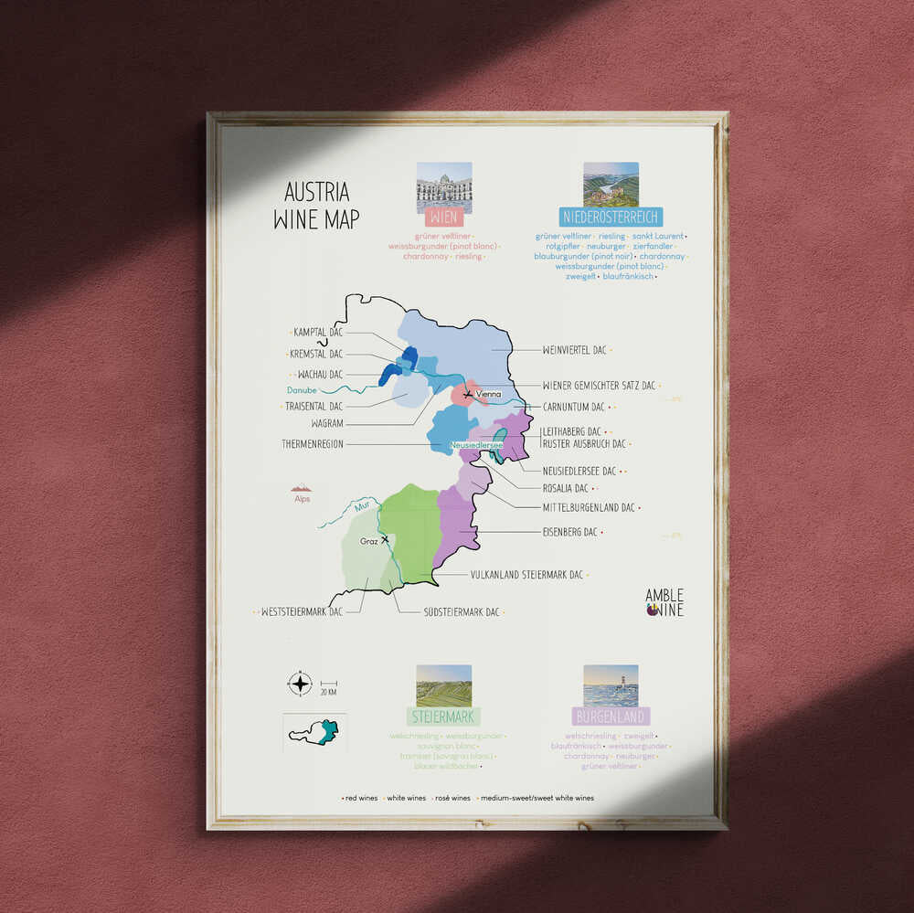 Austria wine map Large format - Austria Wine Map Amble Wine 1200x1200 