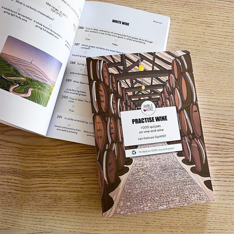 The main sizes of wine bottles – Amble Wine