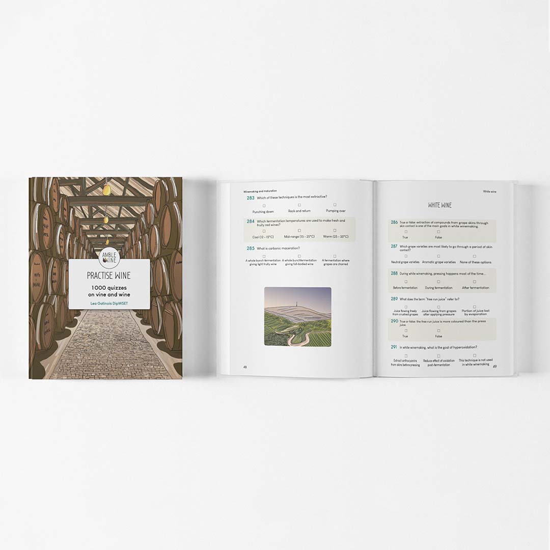 Practise wine 1000 quizzes on vine and wine Amble Wine
