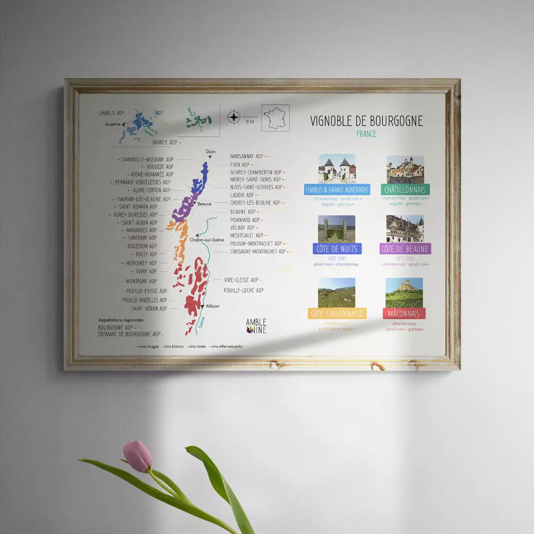 affiche carte des vins vignoble bourgogne france côte nuits côtes beaune chablis amble wine