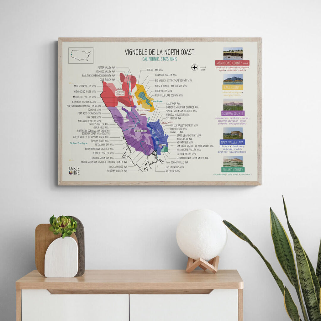 Carte des vins états unis californie north coast affiche chardonnay pinot noir décoration couleur