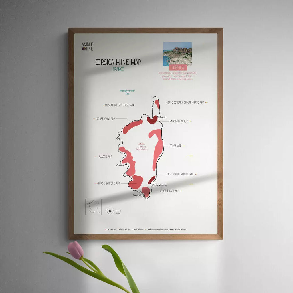 amble wine wine map poster corsica calvi sartene