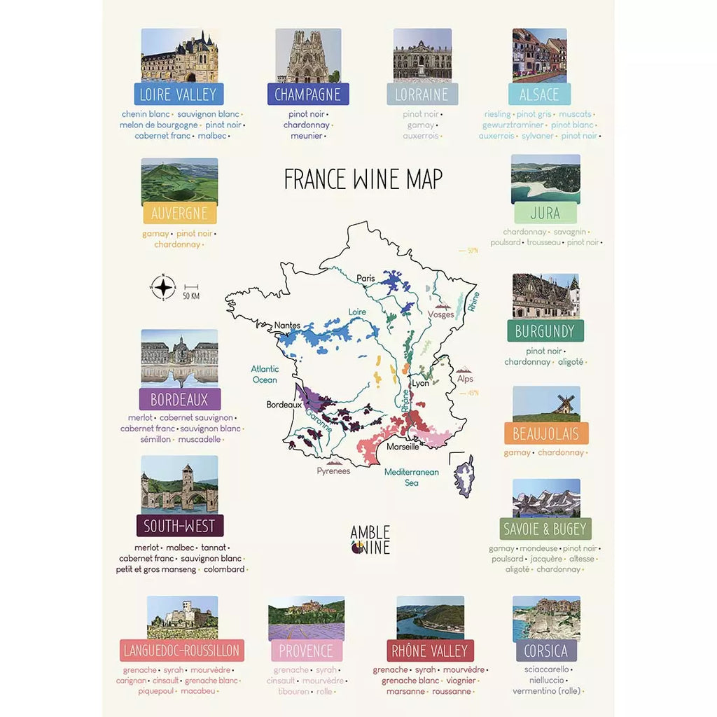 france wine map poster amble wine