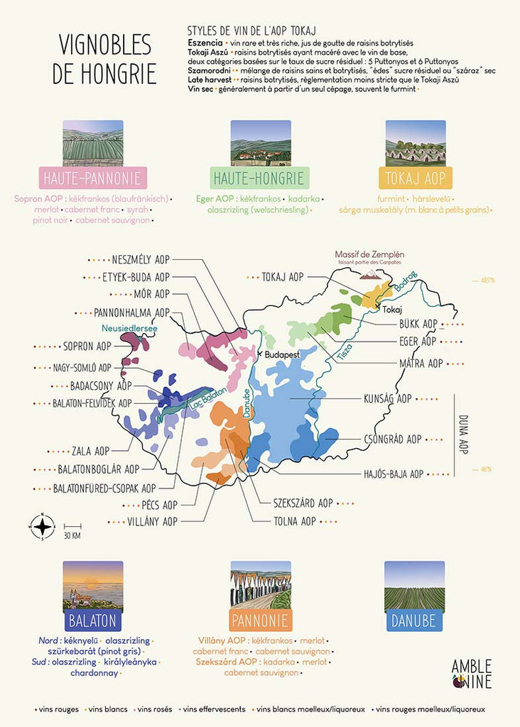 Il s'agit de la carte des vignobles de Hongrie faite par Léa Gâtinois DIPWSET. Pratique le vin