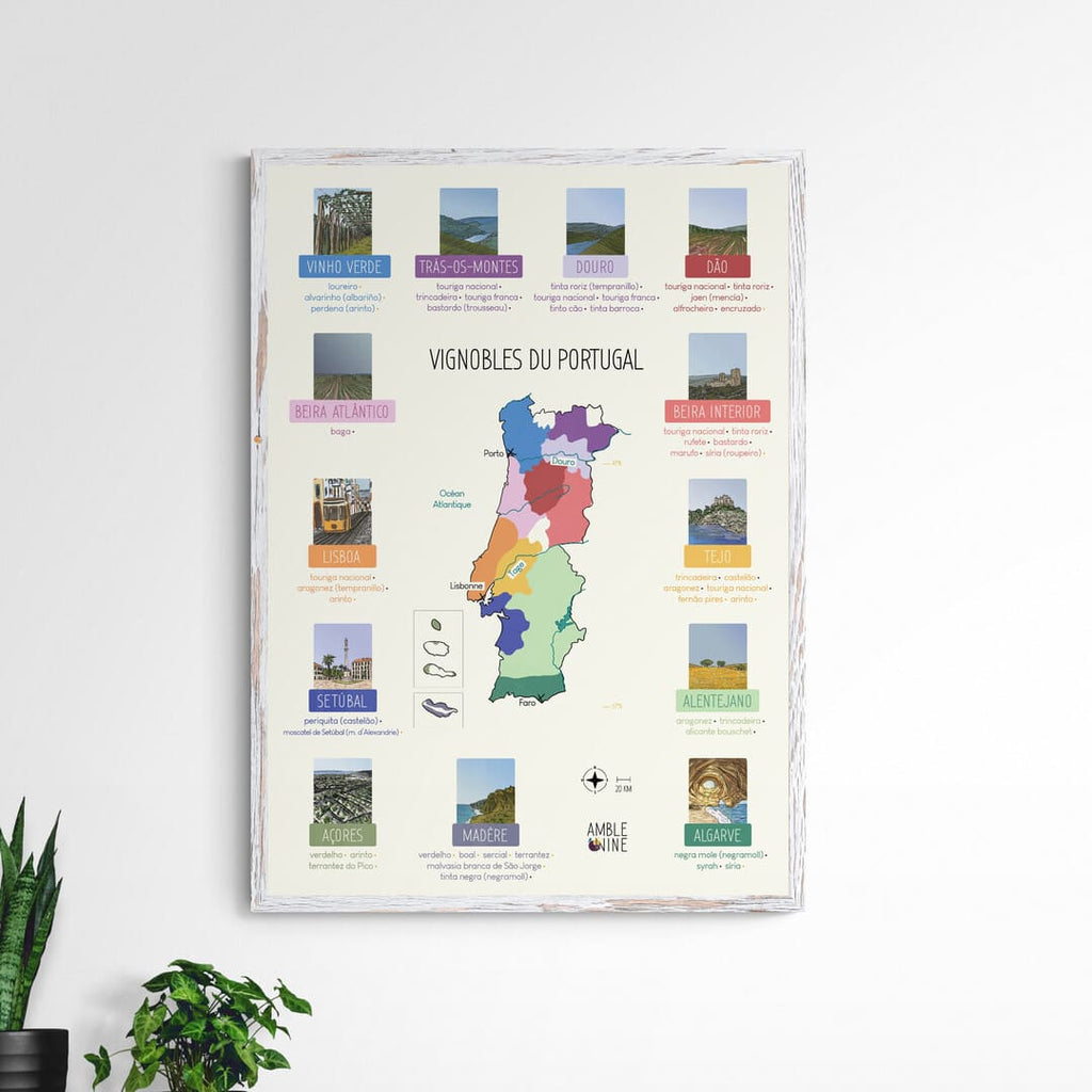 affiche vignobles portugal français europe carte des vins amble wine