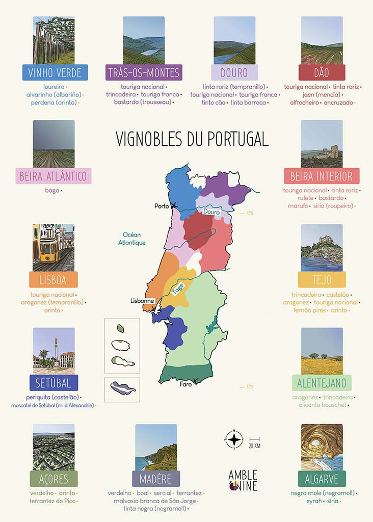 Il s'agit de la carte des vignobles du Portugal. Cette carte ludique et colorée vous aidera à situer les différentes appellations et à améliorer vos connaissances.